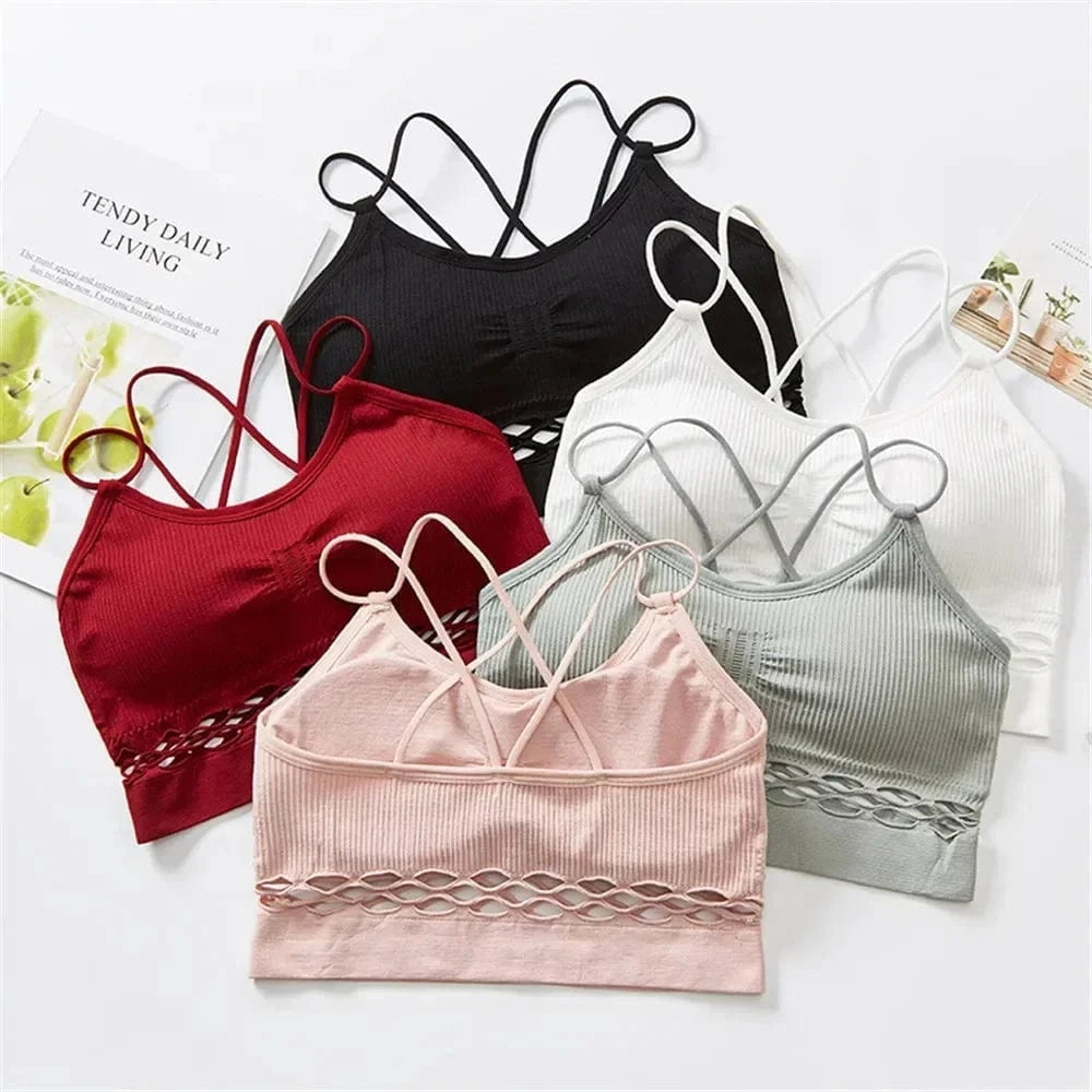 Crop Top Sheer Lattice