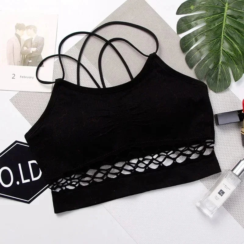 Crop Top Sheer Lattice