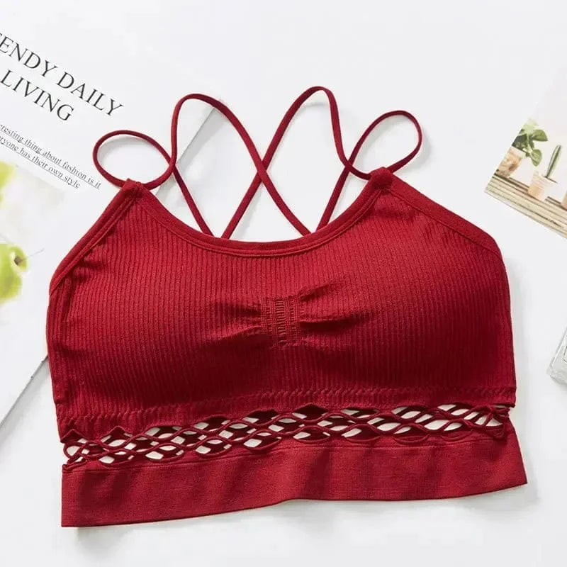 Crop Top Sheer Lattice