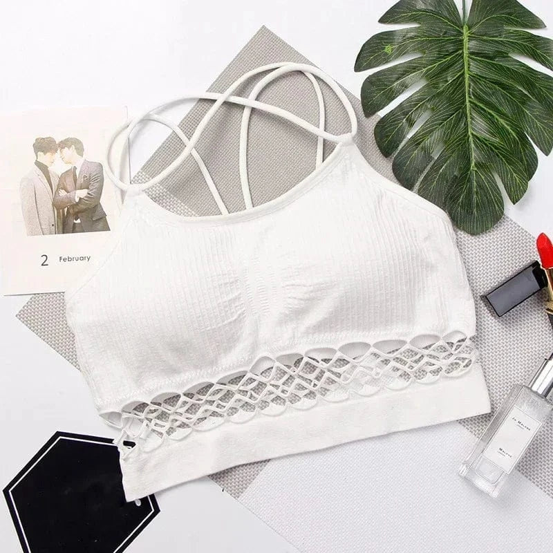 Crop Top Sheer Lattice
