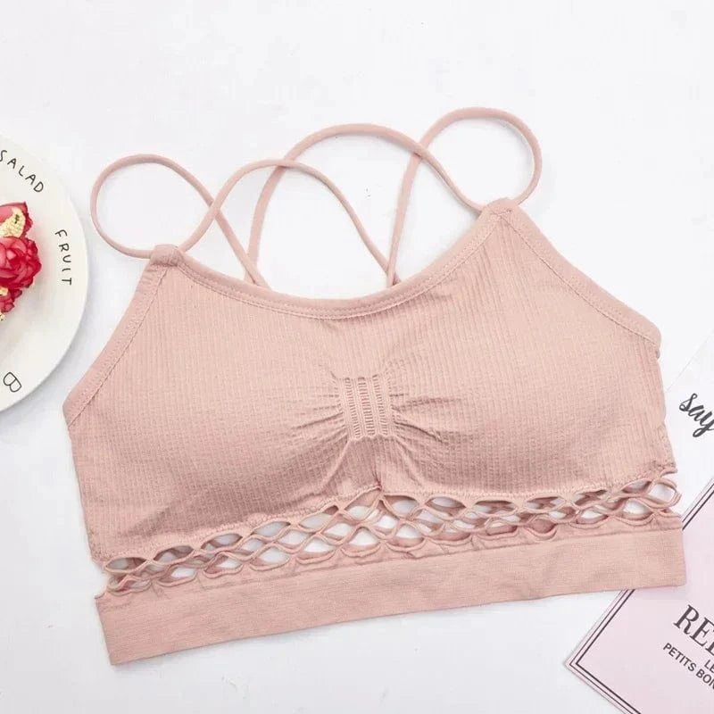 Crop Top Sheer Lattice