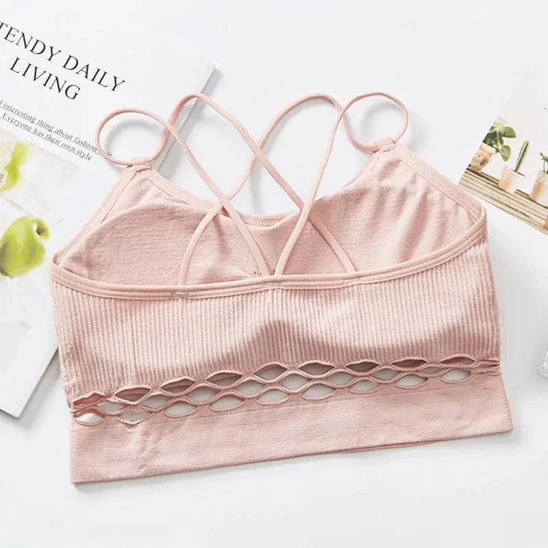 Crop Top Sheer Lattice