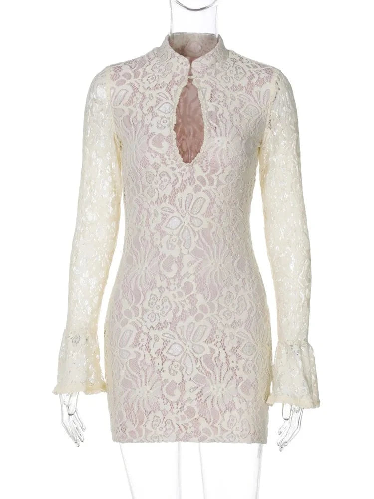 Long Sleeve Lace Mini Dress