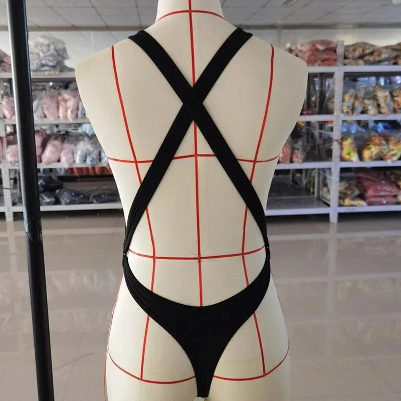 Micro Sheer One Piece Swimsuit
