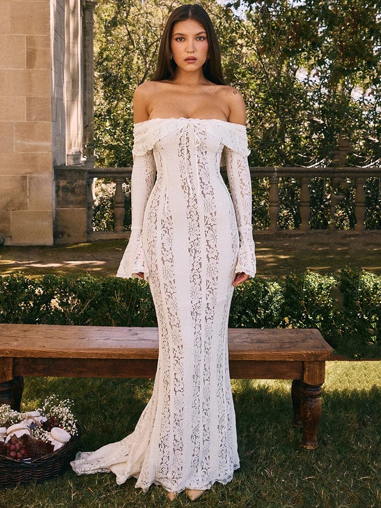 Sheer Long Sleeve Maxi Dress