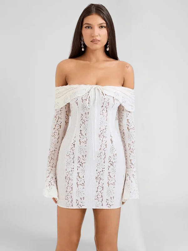 Sheer Long Sleeve Mini Dress