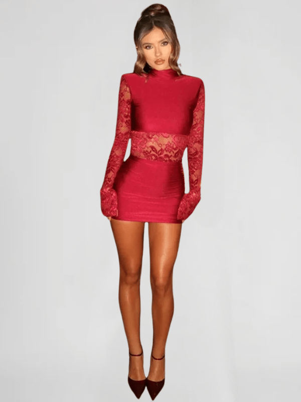 Sheer Mini Lace Dress