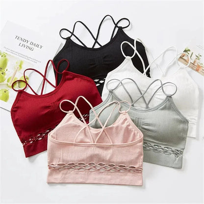 Crop Top Sheer Lattice
