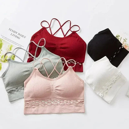 Crop Top Sheer Lattice