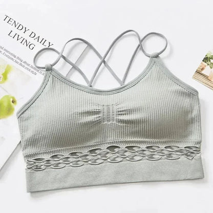 Crop Top Sheer Lattice