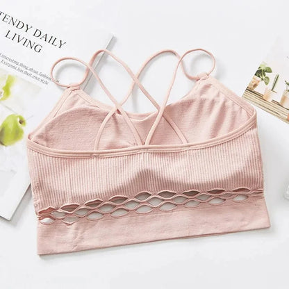 Crop Top Sheer Lattice