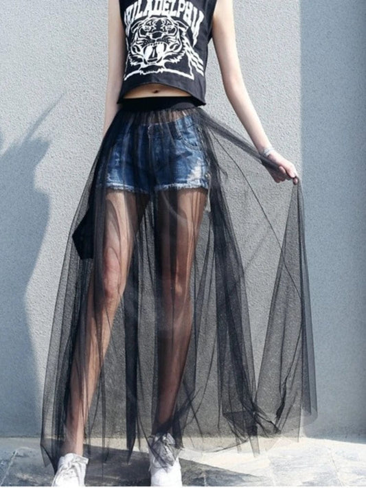 Long Sheer Skirt