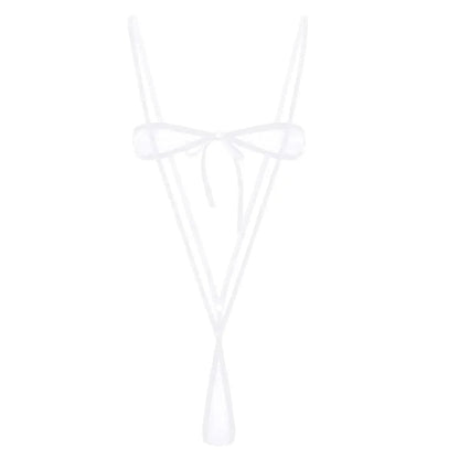 Sheer Lace Lingerie