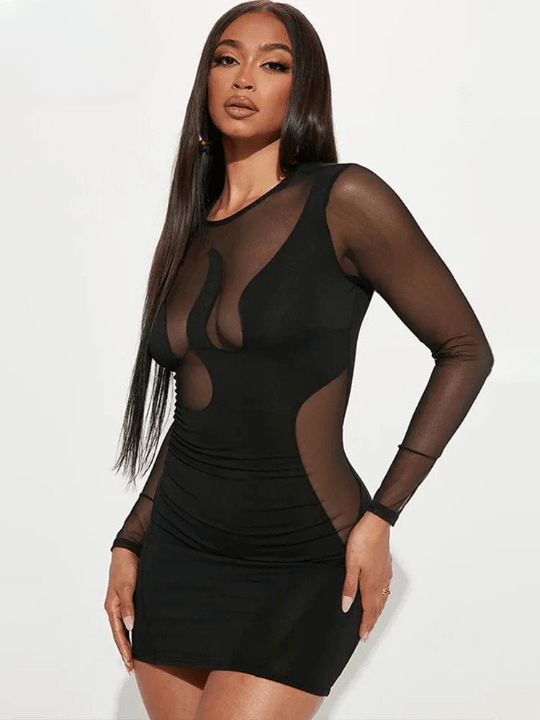 Sheer Sleeve Mini Dress